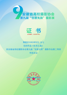 我校师生在全省高校第九届“创意无限”摄影展中荣获佳绩